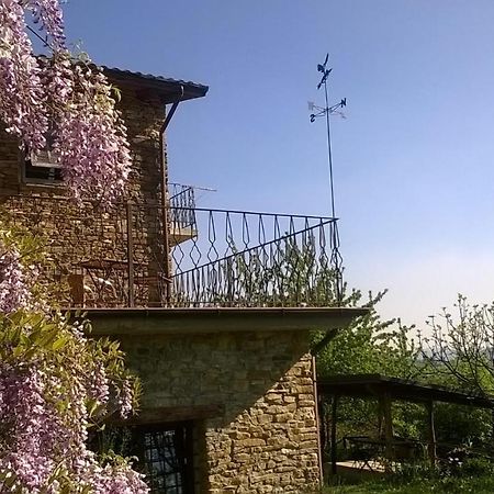 B&B La Civetta Ponzone 외부 사진
